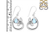 Moonstone Whale Tail Earring RBM-RUE-28.