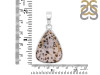 Russian Dendritic Agate Pendant-SP RDA-1-11