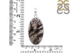 Russian Dendritic Agate Pendant-SP RDA-1-45