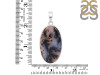 Russian Dendritic Agate Pendant-SP RDA-1-51