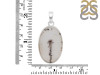 Scenic Agate Pendant-SP SCA-1-10