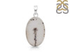 Scenic Agate Pendant-SP SCA-1-10
