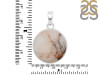 Scenic Agate Pendant-SP SCA-1-102