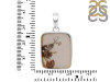 Scenic Agate Pendant-SP SCA-1-105