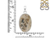 Scenic Agate Pendant-SP SCA-1-11