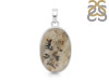 Scenic Agate Pendant-SP SCA-1-11