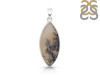 Scenic Agate Pendant-SP SCA-1-15