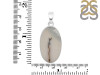 Scenic Agate Pendant-SP SCA-1-23