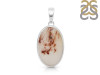 Scenic Agate Pendant-SP SCA-1-24