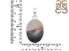 Scenic Agate Pendant-SP SCA-1-25