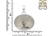 Scenic Agate Pendant-SP SCA-1-38
