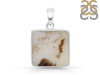 Scenic Agate Pendant-SP SCA-1-4