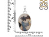 Scenic Agate Pendant-SP SCA-1-42