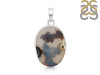 Scenic Agate Pendant-SP SCA-1-42