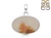 Scenic Agate Pendant-SP SCA-1-45