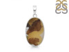 Scenic Agate Pendant-SP SCA-1-49