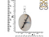 Scenic Agate Pendant-SP SCA-1-60