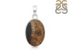 Scenic Agate Pendant-SP SCA-1-62