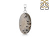 Scenic Agate Pendant-SP SCA-1-7