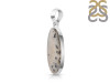 Scenic Agate Pendant-SP SCA-1-7