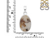 Scenic Agate Pendant-SP SCA-1-71