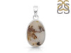 Scenic Agate Pendant-SP SCA-1-71