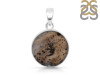 Scenic Agate Pendant-SP SCA-1-78