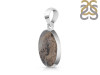 Scenic Agate Pendant-SP SCA-1-78