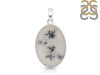 Scenic Agate Pendant-SP SCA-1-9