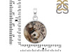 Scenic Agate Pendant-SP SCA-1-94