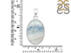 Scheelite Pendant-SP SCH-1-22