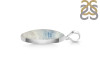 Scheelite Pendant-SP SCH-1-22
