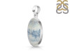 Scheelite Pendant-SP SCH-1-31