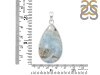 Scheelite Pendant-SP SCH-1-41