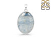 Scheelite Pendant-SP SCH-1-42