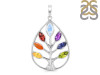 Chakra Pendant CKR-RDP-13.