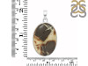 Septarian Rhyolite Pendant-SP SPR-1-43