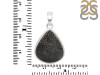 Stingray Coral Pendant-SP SRC-1-13