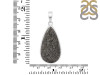 Stingray Coral Pendant-SP SRC-1-18