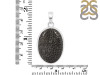 Stingray Coral Pendant-SP SRC-1-2
