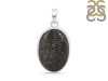 Stingray Coral Pendant-SP SRC-1-2