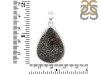 Stingray Coral Pendant-SP SRC-1-23