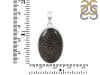 Stingray Coral Pendant-SP SRC-1-24