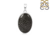 Stingray Coral Pendant-SP SRC-1-24