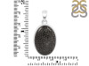 Stingray Coral Pendant-SP SRC-1-29