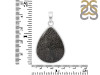Stingray Coral Pendant-SP SRC-1-4