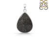 Stingray Coral Pendant-SP SRC-1-4