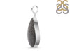 Stingray Coral Pendant-SP SRC-1-4