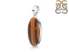 Tiger Eye Pendant-SP TGE-1-126