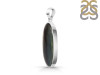 Tiger Eye Pendant-SP TGE-1-52